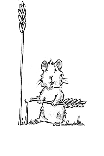 Kein Einnisten von Schädlingen